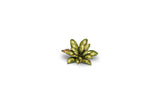 Static Tuft Laser Plants - Dumb Cane LTG GSG-GGLP-DC