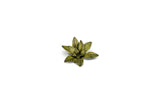 Static Tuft Laser Plants - Dumb Cane LTG GSG-GGLP-DC