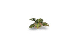 Static Tuft Laser Plants - Monstera LTG GSG-GGLP-MT