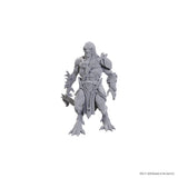 D&D Nolzur's Marvelous Miniatures: Draconian Mastermind WZK 90757