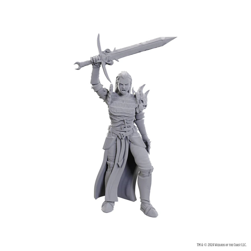 D&D Nolzur's Marvelous Miniatures: Blackguard WZK 90772