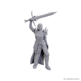 D&D Nolzur's Marvelous Miniatures: Blackguard WZK 90772