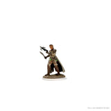 D&D Icons of the Realms - Premium Figures: Female Shifter Rogue WZK 93055