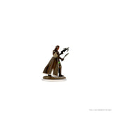 D&D Icons of the Realms - Premium Figures: Female Shifter Rogue WZK 93055