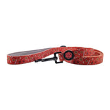Barbarian - Dog Leash | Medium