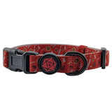 Barbarian Dog Collar | Large