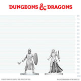 DND NOLZUR'S MARVELOUS UNPAINTED MINIATURES: W29 BLACK GAUNTLET N ZHENTILAR PALADIN OF BANE (144)