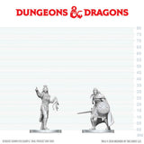 DND NOLZUR'S MARVELOUS UNPAINTED MINIATURES: W29 DROW ELITE WARRIOR N DROW PRIESTESS OF LOLTH (144)