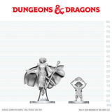 DND NOLZUR'S MARVELOUS UNPAINTED MINIATURES: W29 GNOME WARLOCK N AASIMAR WIZARD (144)
