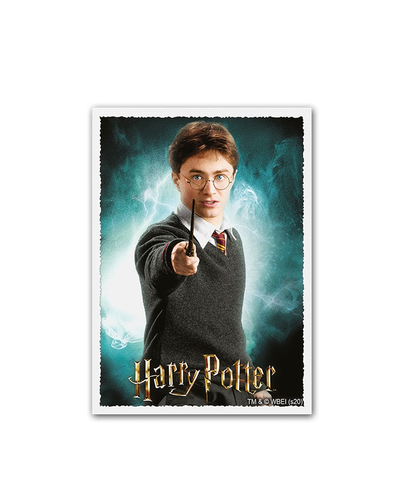 Dragon Shield: Matte Art (100) - Harry Potter Wizarding World - Harry Potter ATM 16019