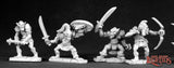 Goblin War Band: Dark Heaven Legends RPR 02481