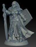 Human Paladin, Jada: Dark Heaven Legends RPR 04014