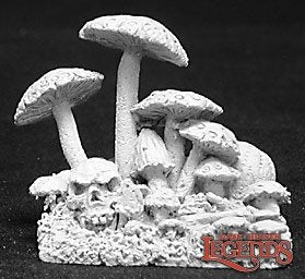 Fungus Patch: Dark Heaven Legends RPR 02695