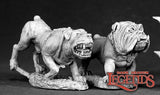 Guard Dogs (2): Dark Heaven Legends RPR 03326