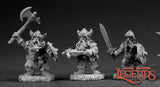 DHL Classics - Dwarf Warriors: Dark Heaven Legends RPR 03351