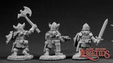 DHL Classics - Dwarf Warriors: Dark Heaven Legends RPR 03351