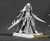 Dark Elf Warrior: Warlord RPR 14570