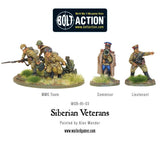 Siberian Veterans Boxed Set: Bolt Action WLG WGB-RI-03