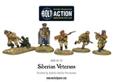 Siberian Veterans Boxed Set: Bolt Action WLG WGB-RI-03