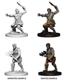 Nameless One: D&D Nolzur's Marvelous Miniatures WZK 73398