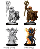 Dragonborn Sorcerer Female: D&D Nolzur's Marvelous Miniatures WZK 73674