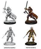 Vampire Hunters: D&D Nolzur's Marvelous Miniatures WZK 73676