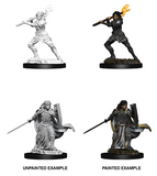 Female Human Paladin: D&D Nolzur's Marvelous Miniatures WZK 73830