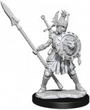 D&D Frameworks: W01 - Human Fighter Female WZK 75025