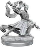 D&D Frameworks: W01 - Elf Monk Male WZK 75027