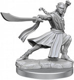 D&D Frameworks: W01 - Elf Monk Male WZK 75027