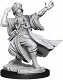 D&D Frameworks: W01 - Human Wizard Male WZK 75030