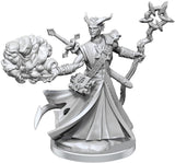 D&D Frameworks: W01 - Tiefling Warlock Male WZK 75034