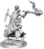 D&D Frameworks: W01 - Dragonborn Sorcerer Female WZK 75035