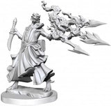 D&D Frameworks: W01 - Dragonborn Sorcerer Female WZK 75035