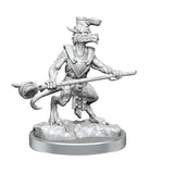 D&D Frameworks: W01 - Kobolds WZK 75067