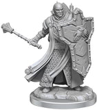 D&D Frameworks: W01 - Human Cleric Male WZK 75071