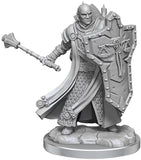 D&D Frameworks: W01 - Human Cleric Male WZK 75071