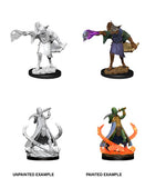 Arcanaloth & Ultroloth: D&D Nolzur's Marvelous Miniatures WZK 90015