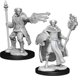 Multiclass Cleric + Wizard Male: D&D Nolzur's Marvelous Miniatures WZK 90151