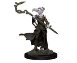 Magic the Gathering Unpainted Miniatures: W1 - Stoneforge Mystic & Kor Hookmaster (Fighter,Rogue,Wizard) WZK 90177