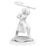 Critical Role Unpainted Miniatures: W1 - Half-Elf Echo Knight and Echo Female WZK 90379