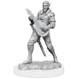 Critical Role Unpainted Miniatures: W1 - Pallid Elf Rogue and Bard Male WZK 90381
