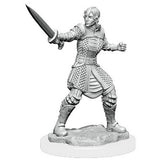 Critical Role Unpainted Miniatures: W1 - Human Dwendalian Empire Fighter Female WZK 90386