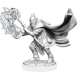 Critical Role Unpainted Miniatures: W1 - Hobgoblin Wizard and Druid Male WZK 90389