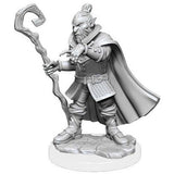 Critical Role Unpainted Miniatures: W1 - Hobgoblin Wizard and Druid Male WZK 90389