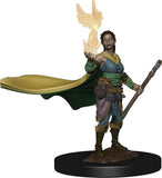 Elf Female Druid: Premium Figures - D&D Icons of the Realms WZK 93003