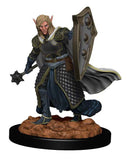 Elf Male Cleric: Premium Figures - D&D Icons of the Realms WZK 93008