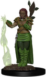Human Female Druid: Premium Figures - D&D Icons of the Realms WZK 93009