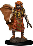 Human Druid Male: Premium Figures - D&D Icons of the Realms WZK 93031