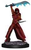 Human Rogue Female: Premium Figures - D&D Icons of the Realms WZK 93032